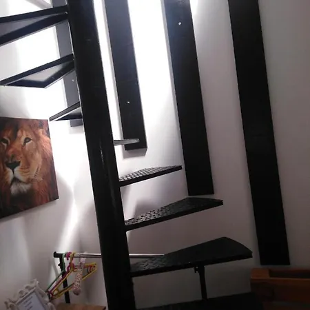 Airport Apartments Belgrado Esterno foto