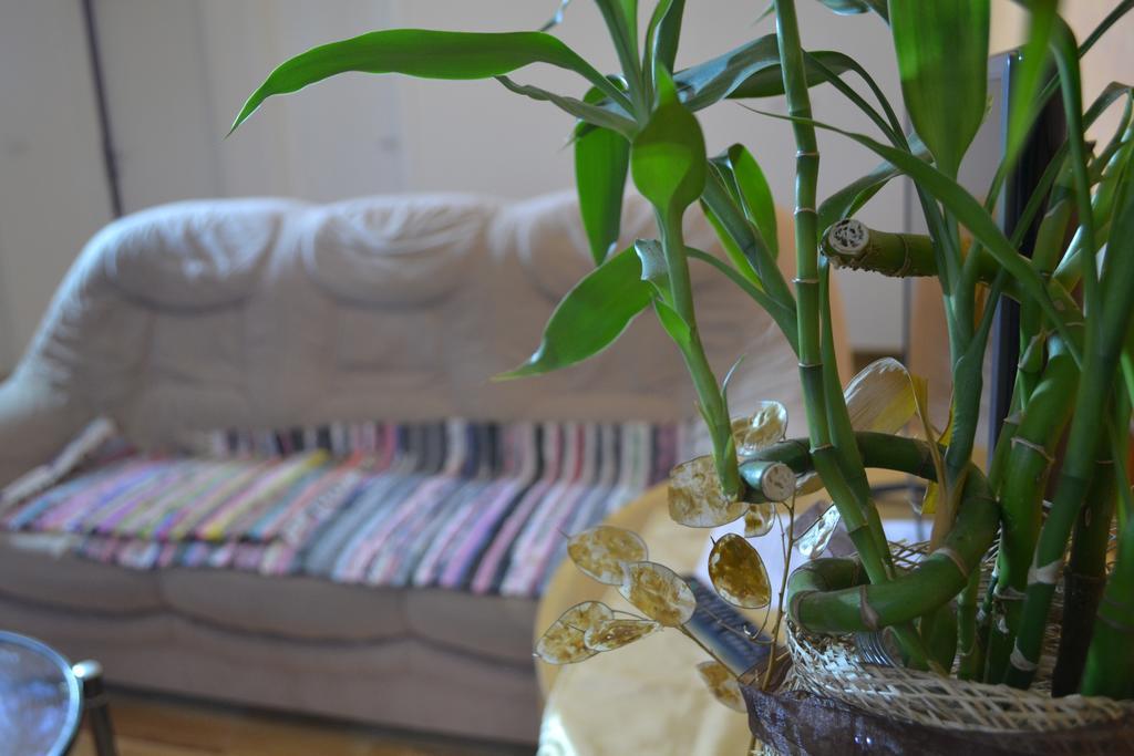 Airport Apartment